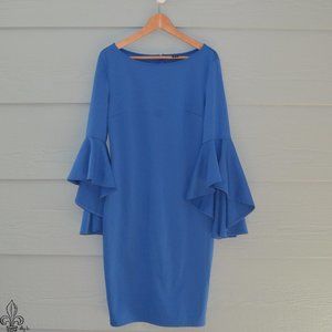 🦚Long sleeve Blue Dress🦚